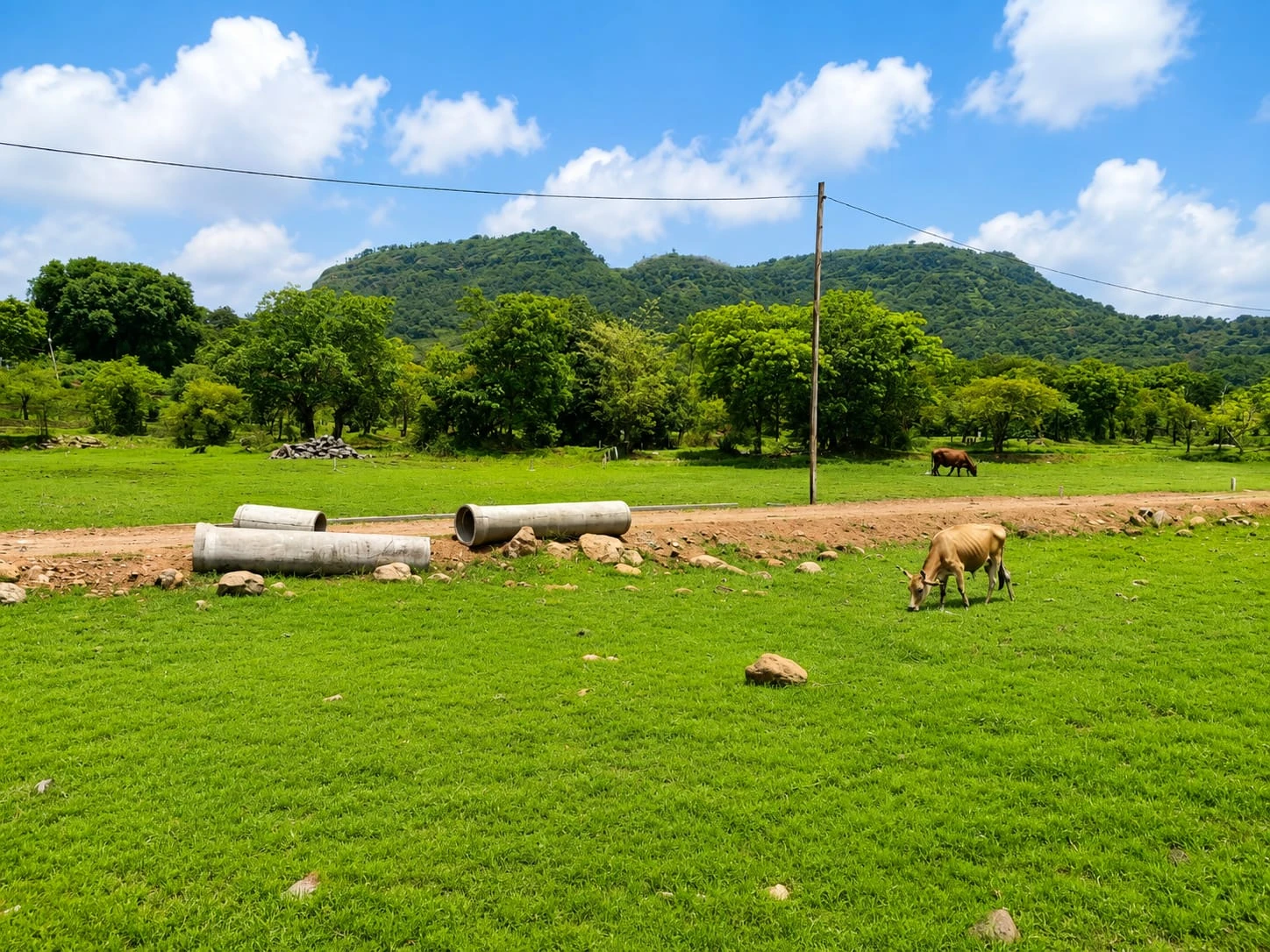 Alibaug Kurul Meadow View