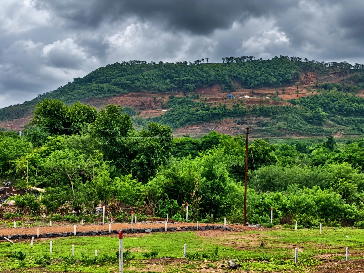 Kashid-Tembhode Hill View
